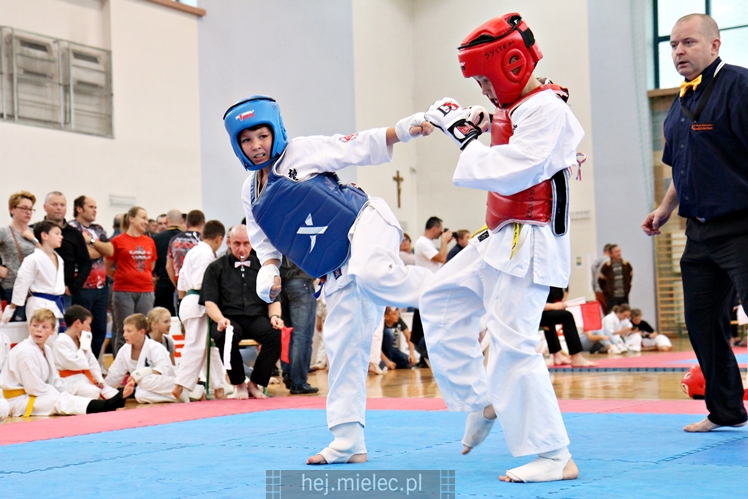 III Puchar Podkarpacia Dzieci i Młodzieży Karate Kyokushin
