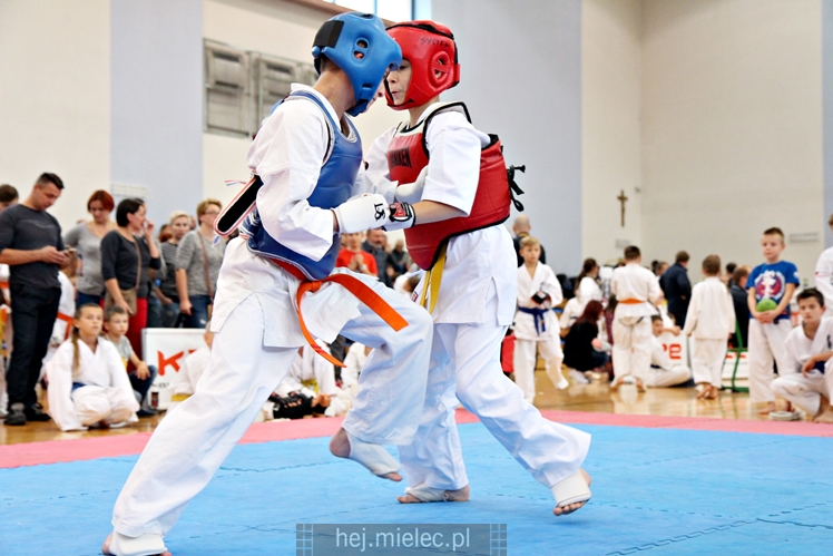 III Puchar Podkarpacia Dzieci i Młodzieży Karate Kyokushin