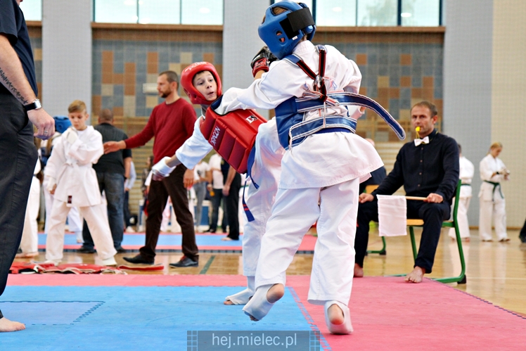 III Puchar Podkarpacia Dzieci i Młodzieży Karate Kyokushin