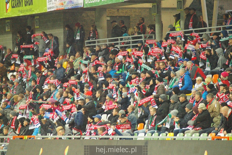 Zdjęcia z meczu Podbeskidzie Bielsko-Biała - Stal Mielec 0:1