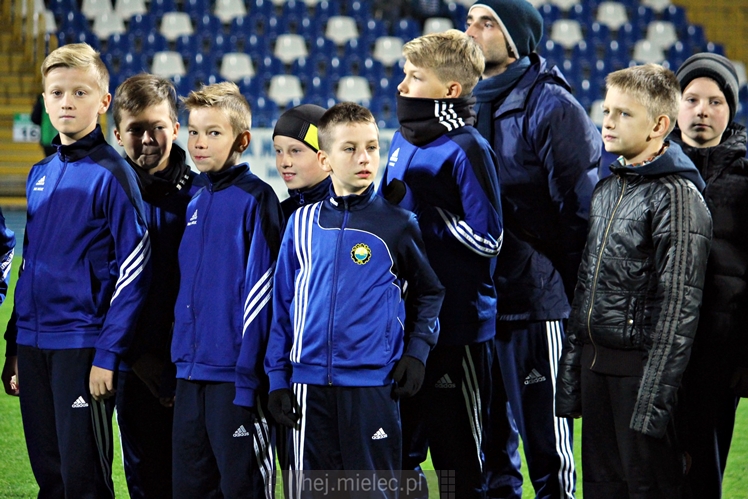 Drużyny Akademii Piłkarskiej FKS Stal Mielec zaprezentowały się kibicom