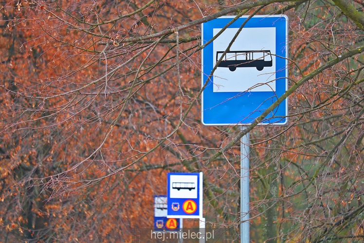 Spokojna uroczystość Wszystkich Świętych w Mielcu. Na cmentarzach tłumy, na drogach korki