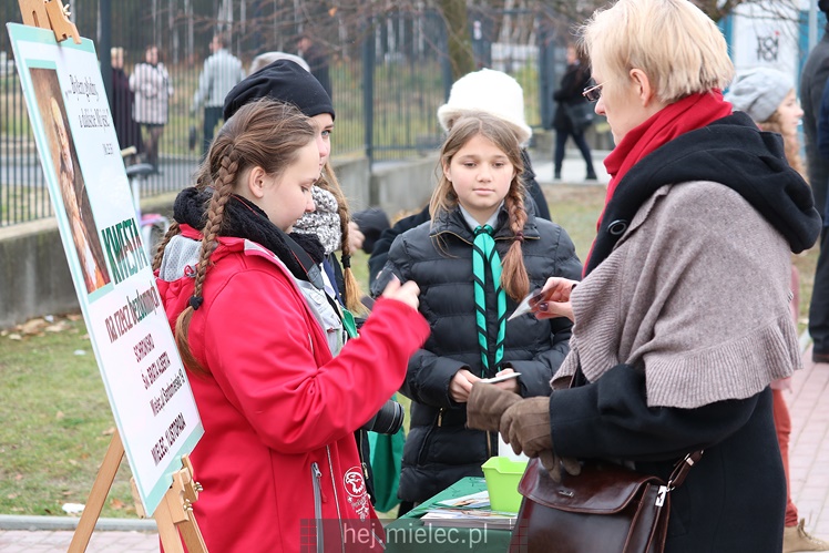 Spokojna uroczystość Wszystkich Świętych w Mielcu. Na cmentarzach tłumy, na drogach korki