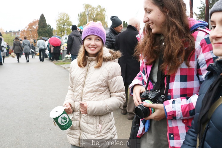 Spokojna uroczystość Wszystkich Świętych w Mielcu. Na cmentarzach tłumy, na drogach korki