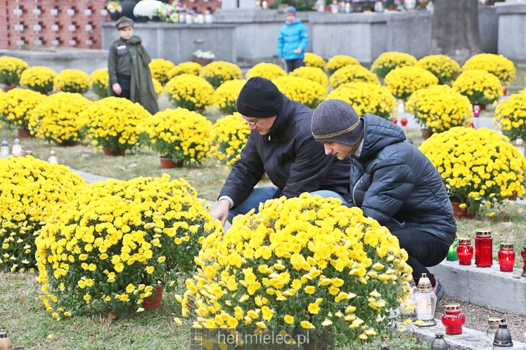 Spokojna uroczystość Wszystkich Świętych w Mielcu. Na cmentarzach tłumy, na drogach korki