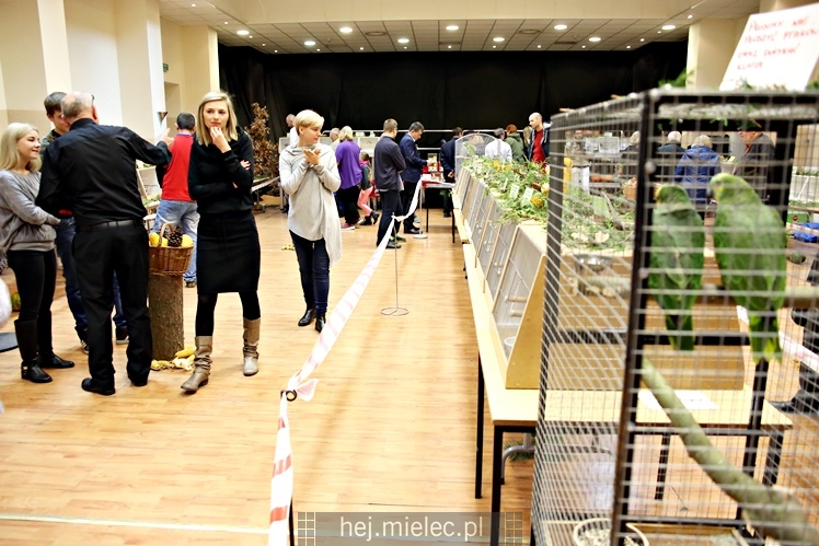 Wystawa ptaków egzotycznych w Domu Kultury