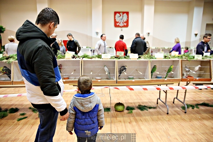 Wystawa ptaków egzotycznych w Domu Kultury