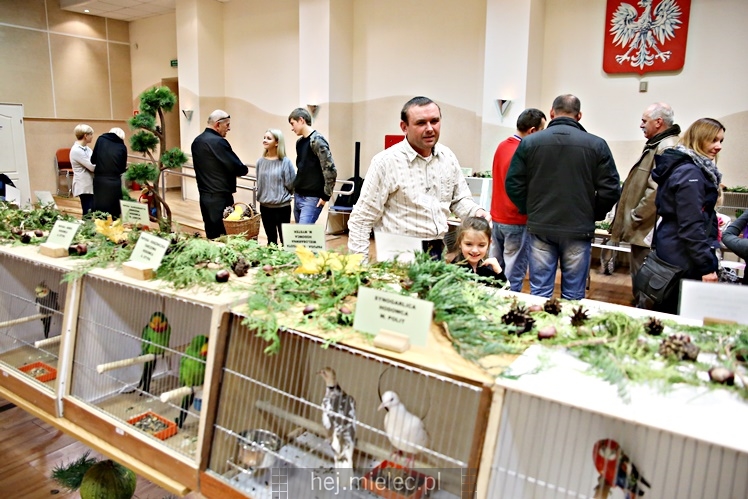 Wystawa ptaków egzotycznych w Domu Kultury