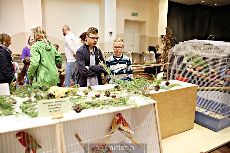 Wystawa ptaków egzotycznych w Domu Kultury