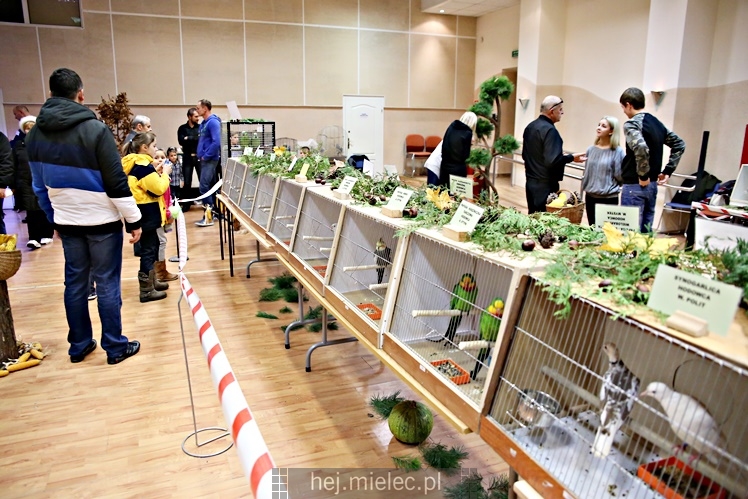 Wystawa ptaków egzotycznych w Domu Kultury