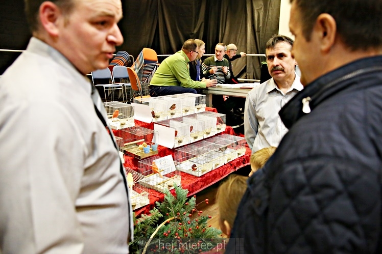 Wystawa ptaków egzotycznych w Domu Kultury