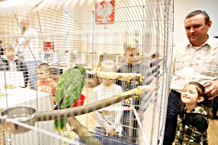 Wystawa ptaków egzotycznych w Domu Kultury