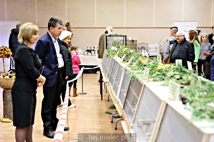 Wystawa ptaków egzotycznych w Domu Kultury