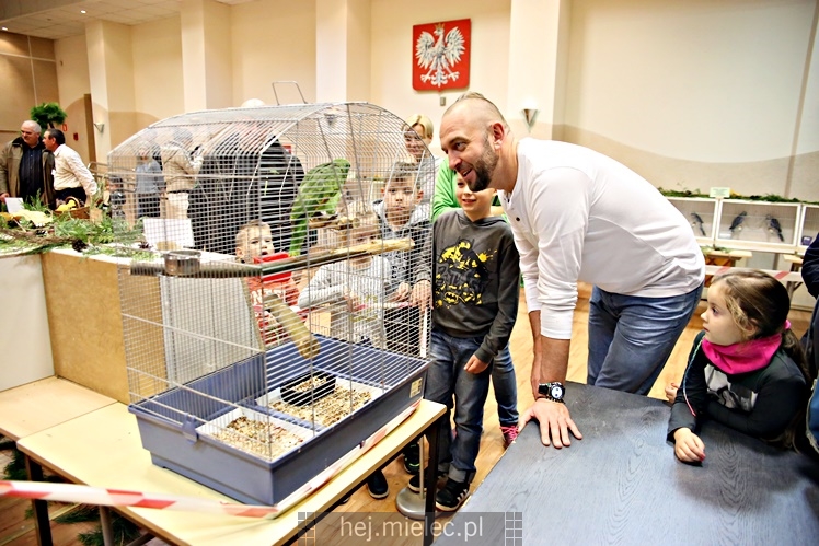 Wystawa ptaków egzotycznych w Domu Kultury