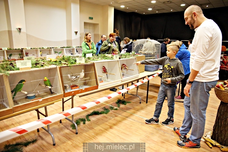 Wystawa ptaków egzotycznych w Domu Kultury