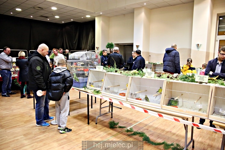 Wystawa ptaków egzotycznych w Domu Kultury