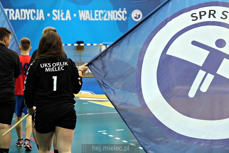 PGNiG Superliga: SPR STAL MIELEC - SANDRA SPA POGOŃ SZCZECIN