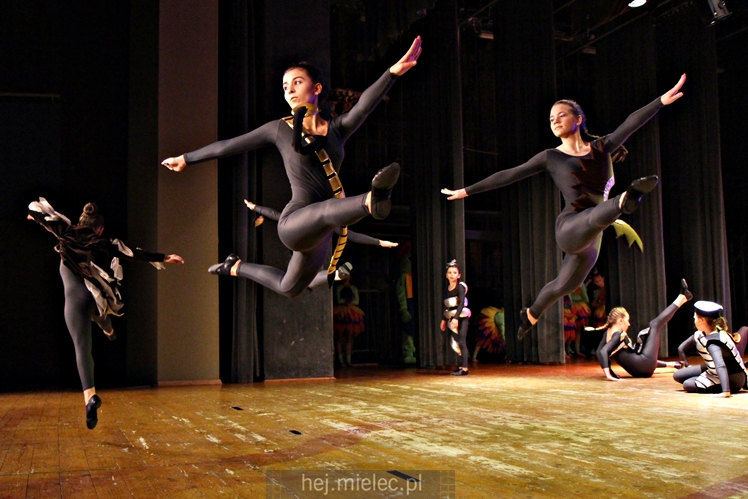 Przegląd Zespołów Tanecznych Pasikonik