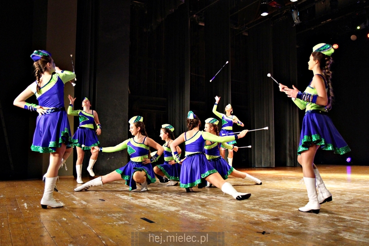 Przegląd Zespołów Tanecznych Pasikonik