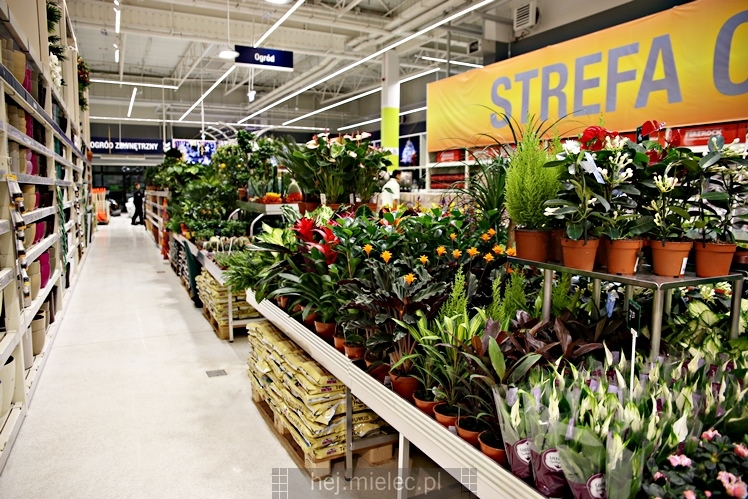 Otwarcie Leroy Merlin w Mielcu