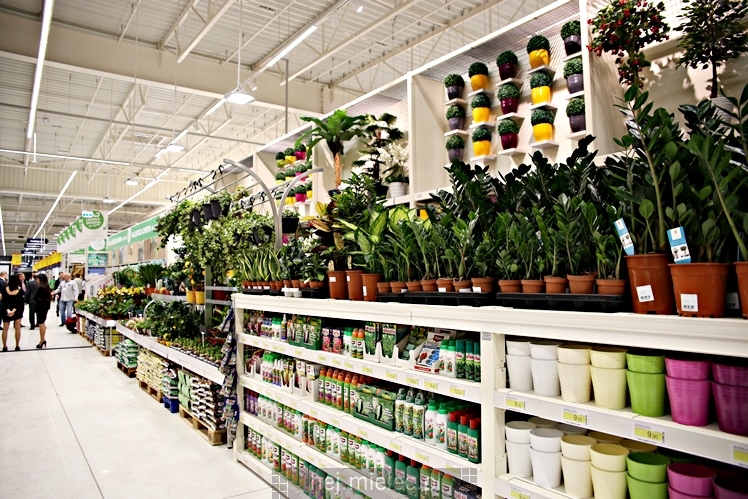 Otwarcie Leroy Merlin w Mielcu