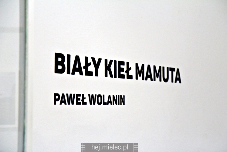 Wernisaż wystawy ?Biały kieł mamuta? w Galerii Jarte