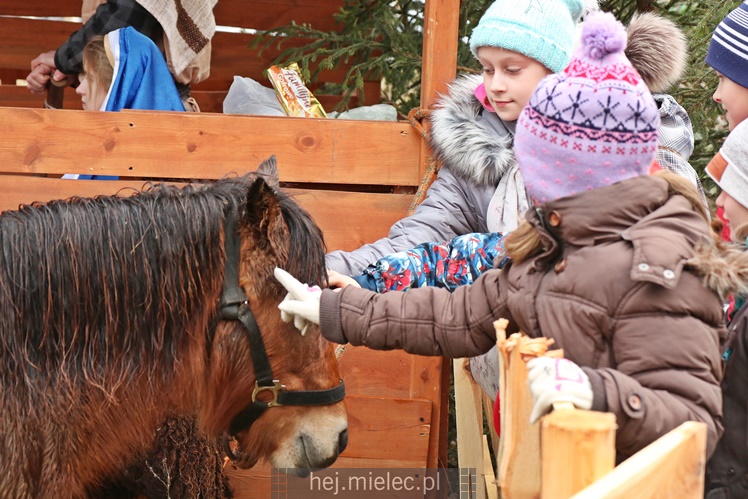 Przygotowali żywą szopką by zebrać na wakacje, przyciągnęli tłumy