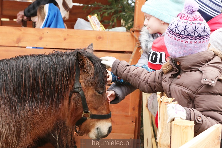 Przygotowali żywą szopką by zebrać na wakacje, przyciągnęli tłumy