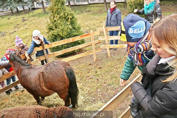 Przygotowali żywą szopką by zebrać na wakacje, przyciągnęli tłumy