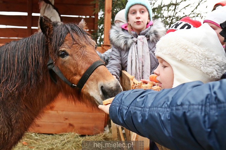 Przygotowali żywą szopką by zebrać na wakacje, przyciągnęli tłumy