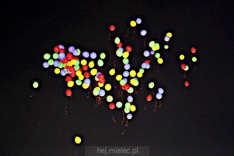25. Finał WOŚP w Mielcu