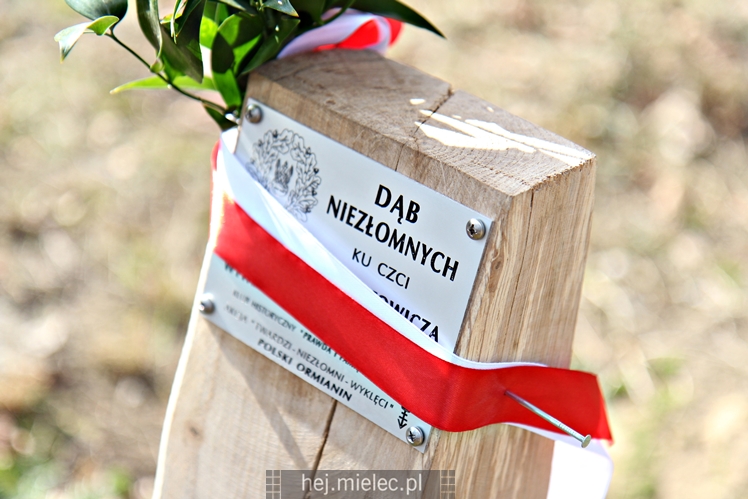 Nadanie imion Żołnierzy Wyklętych Dębom Niezłomnych