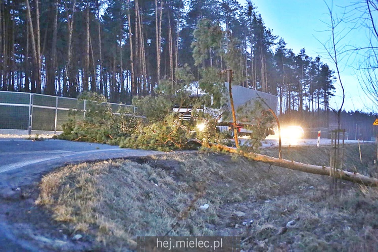Zniszczenia po burzy nad Mielcem