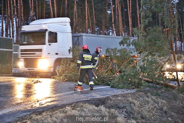 Zniszczenia po burzy nad Mielcem