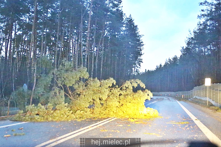 Zniszczenia po burzy nad Mielcem