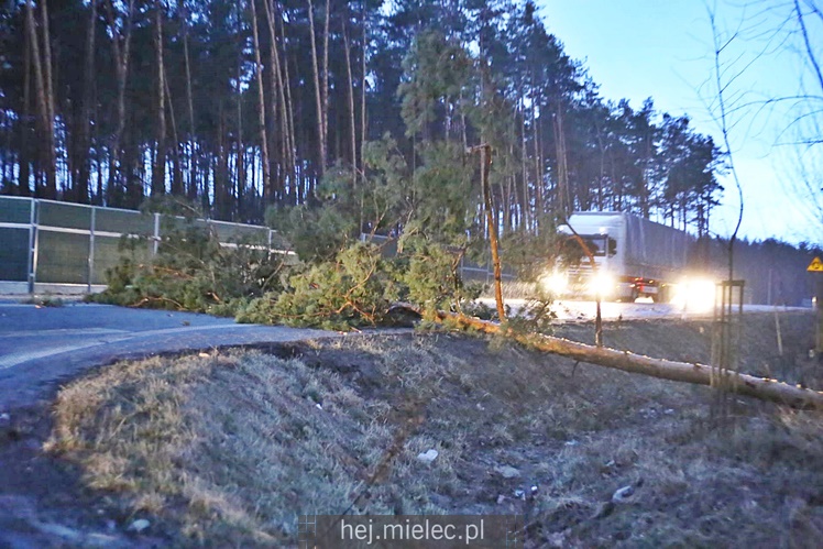 Zniszczenia po burzy nad Mielcem