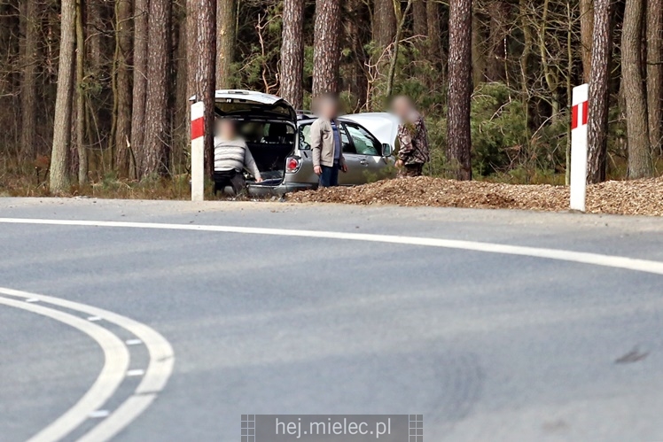 Osobówka wypadła z obwodnicy Mielca i uderzyła w drzewo