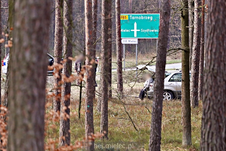 Osobówka wypadła z obwodnicy Mielca i uderzyła w drzewo