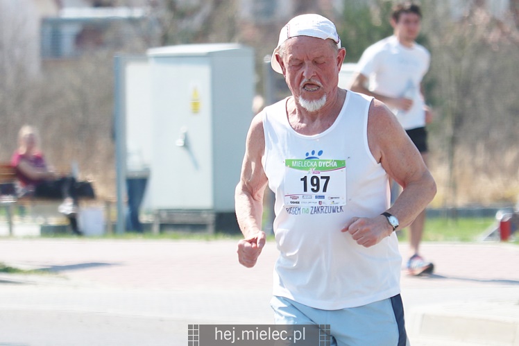 Mielecka Dycha z JOY FITNESS: bieg po ulicy Szafera