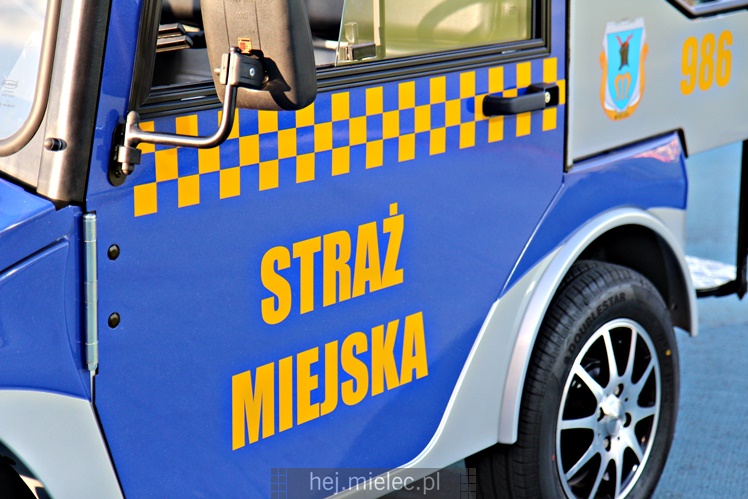 Melexy dla Urzędu Miejskiego