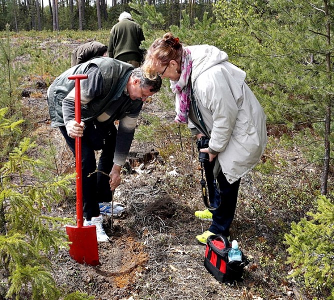 W Leśnictwie Czajkowa rozmawiano o gospodarce leśnej