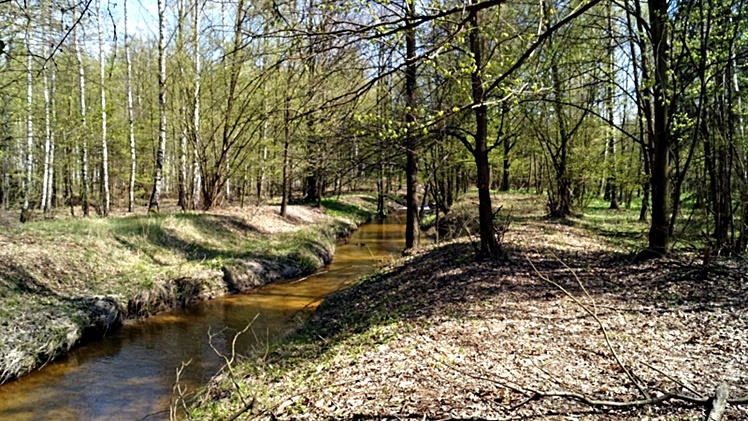 W Leśnictwie Czajkowa rozmawiano o gospodarce leśnej