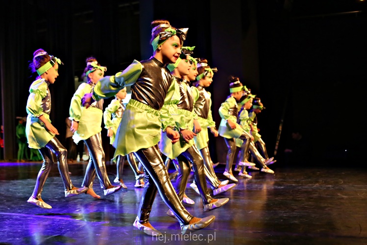 V Międzyszkolny Konkurs Zespołów Tanecznych DANCE