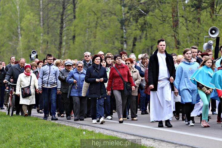 Pielgrzymka i nabożeństwo majowe przy kapliczce na Biesiadce