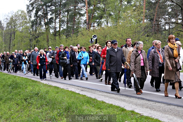 Pielgrzymka i nabożeństwo majowe przy kapliczce na Biesiadce