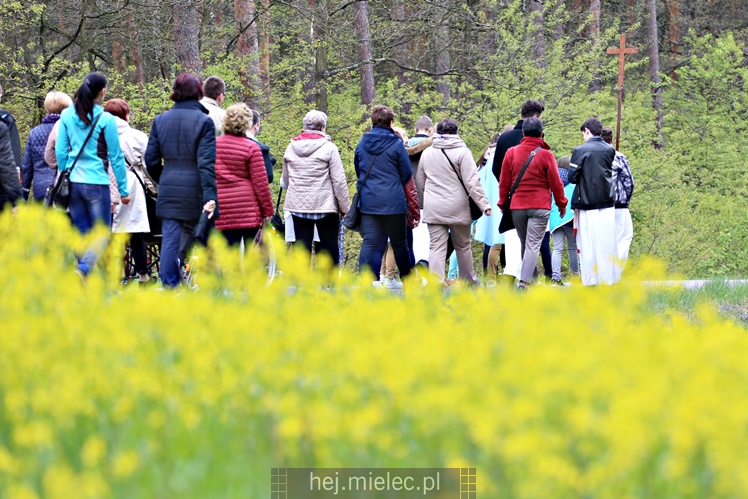 Pielgrzymka i nabożeństwo majowe przy kapliczce na Biesiadce