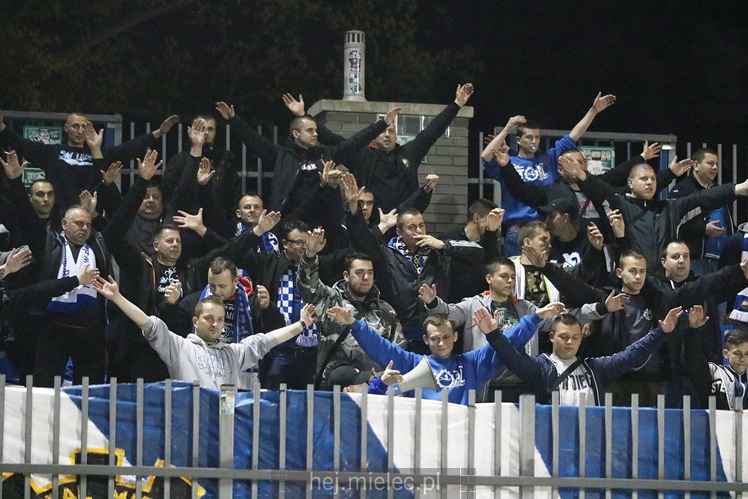 Nice 1 liga: WISŁA PUŁAWY - FKS STAL MIELEC