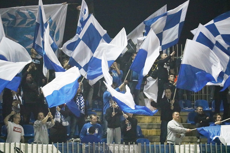 Nice 1 liga: WISŁA PUŁAWY - FKS STAL MIELEC