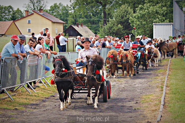 IX Parada Konna w Żarówce
