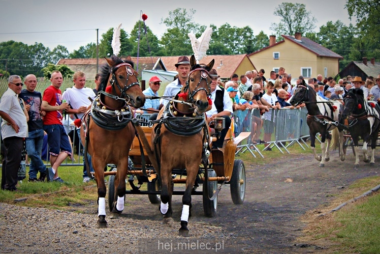 IX Parada Konna w Żarówce